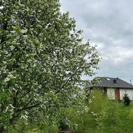 Vila Babelkowa Beskidy Z Balia Jacuzzi