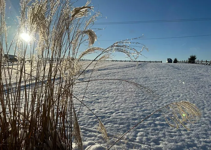 Babelkowa Beskidy Z Balia Jacuzzi * Gilowice (Zywiec)