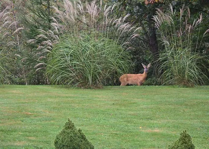 Babelkowa Beskidy Z Balia Jacuzzi * Gilowice (Zywiec)